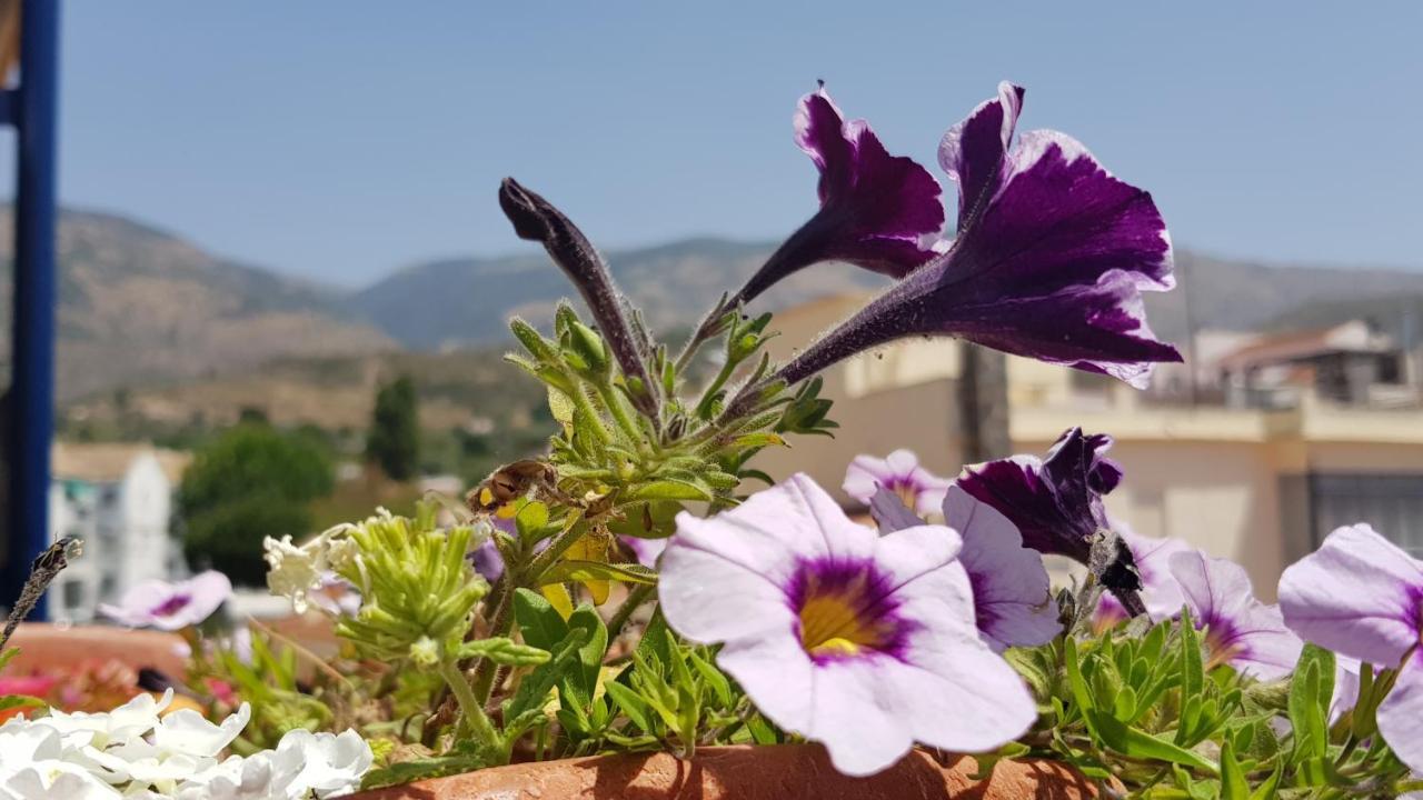 Posada Alpujarra Sol Orgiva Bagian luar foto