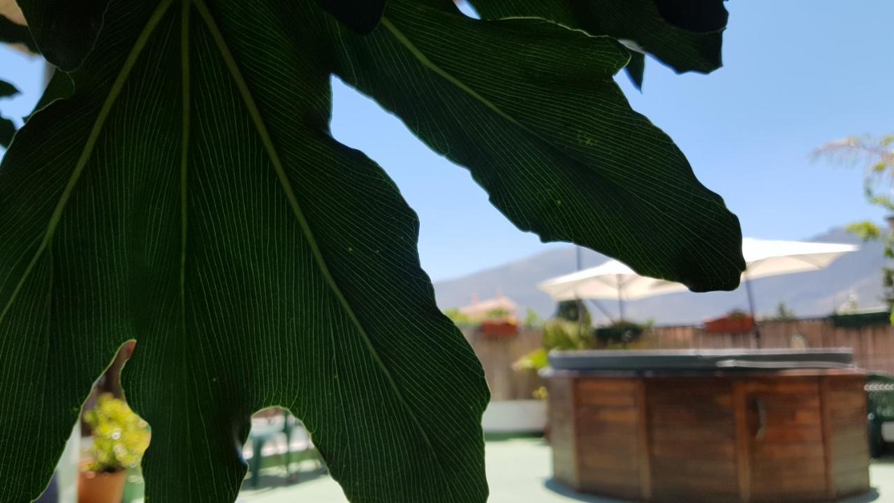 Posada Alpujarra Sol Orgiva Bagian luar foto