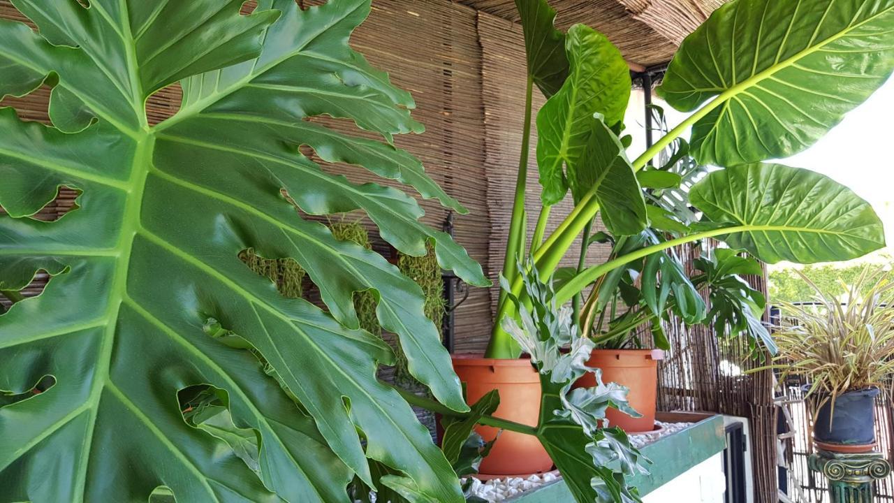 Posada Alpujarra Sol Orgiva Bagian luar foto